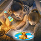 HD Projection Flashlight for Kids Wall Projection 90°
